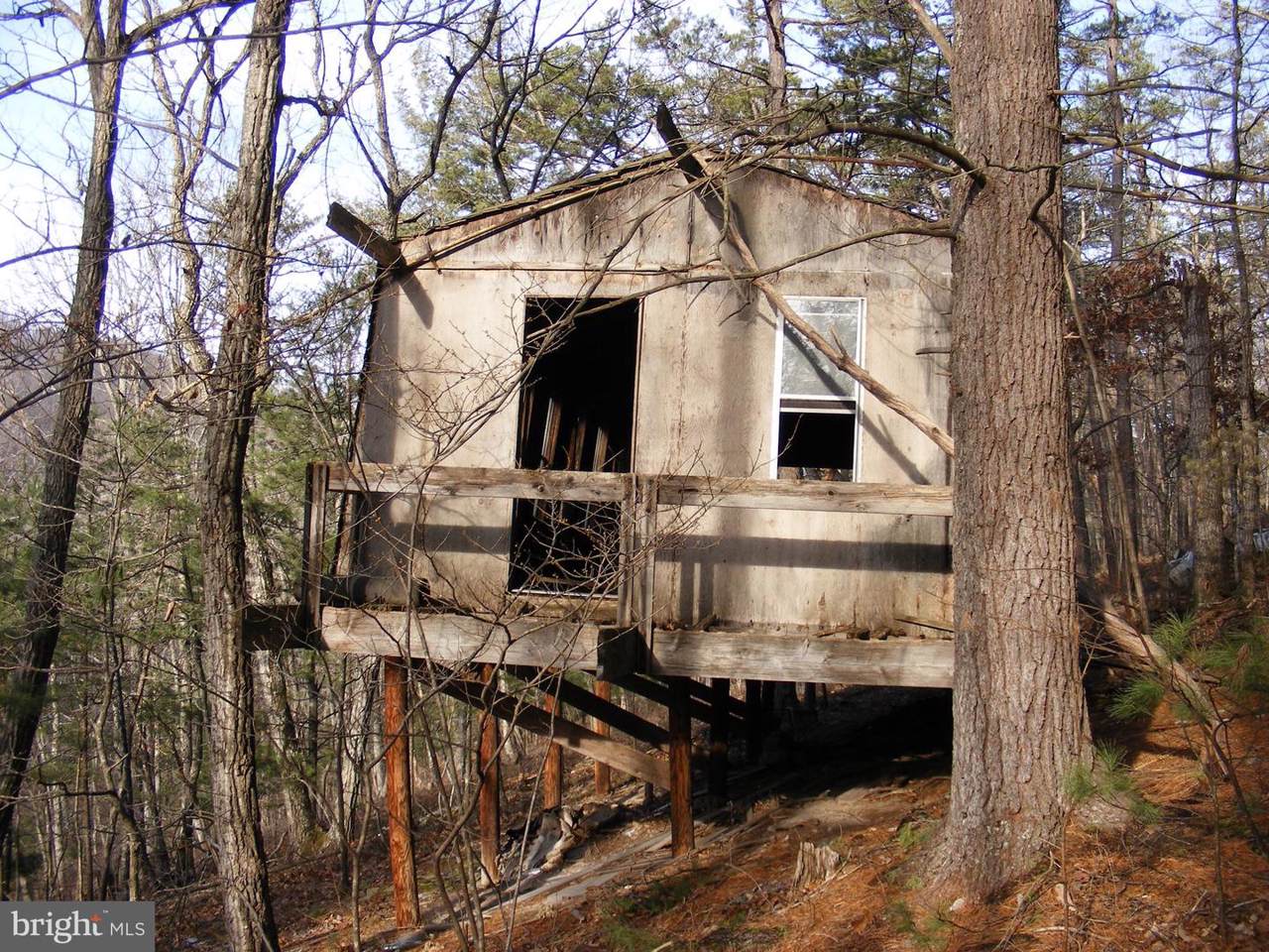 248 Snake Drive - Photo 1