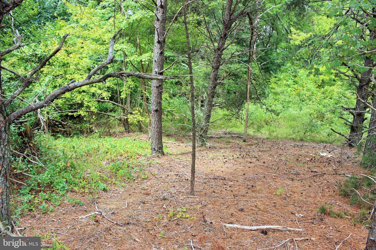 Three Notch Road - Photo 1