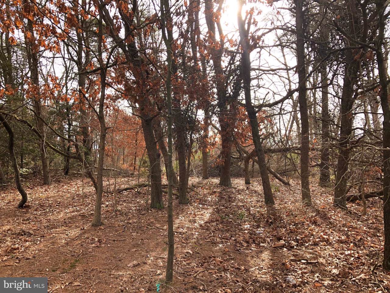 00 Fairton Millville Road - Photo 1