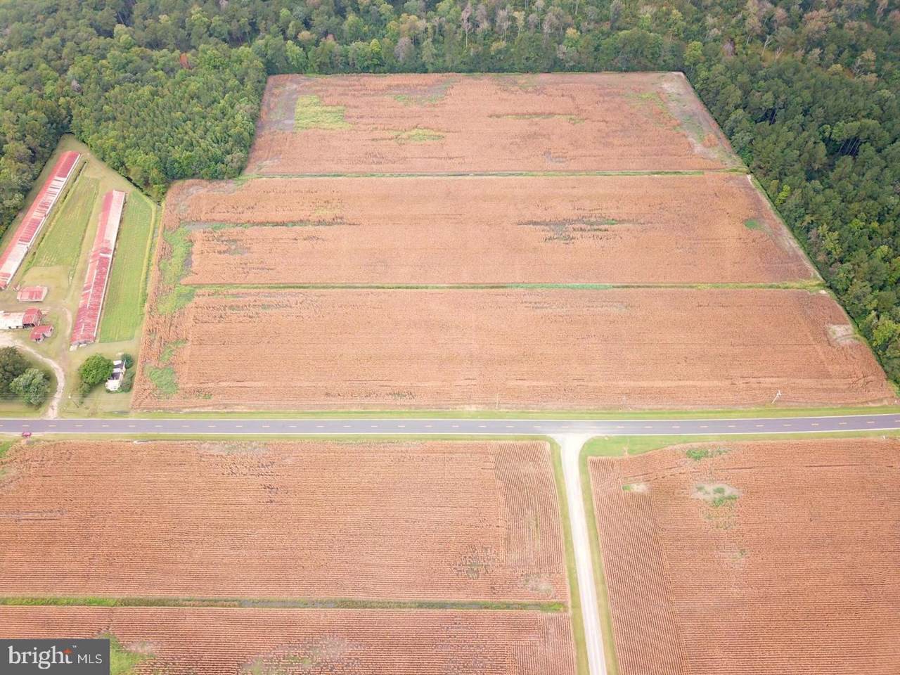 Lot 1-N/A Allen Road - Photo 1