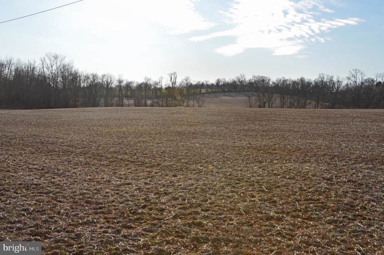 Allendale Lane - Photo 1