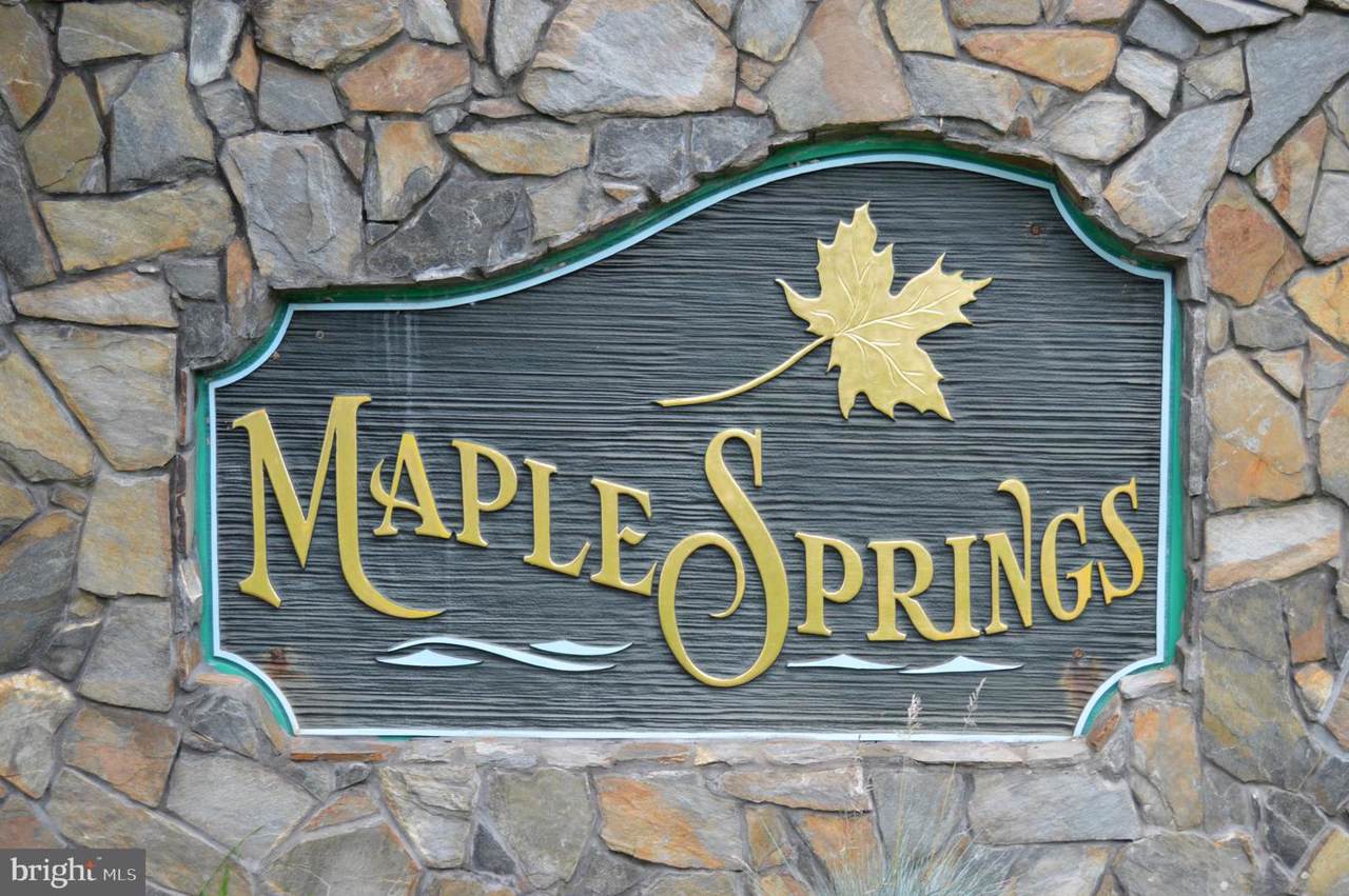 Lot 48 Maple Springs - Photo 1