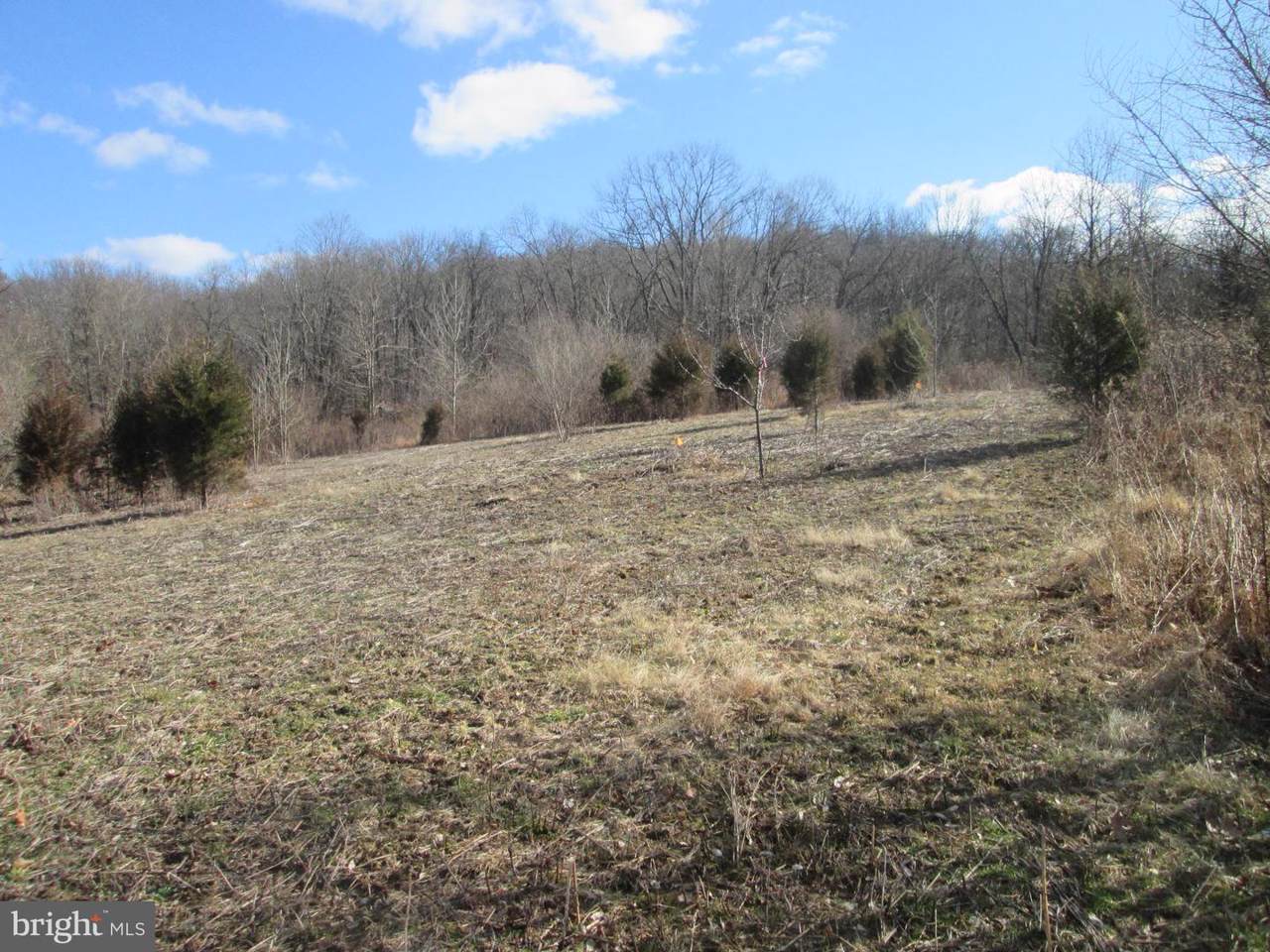 0 Little Rd. - Photo 1