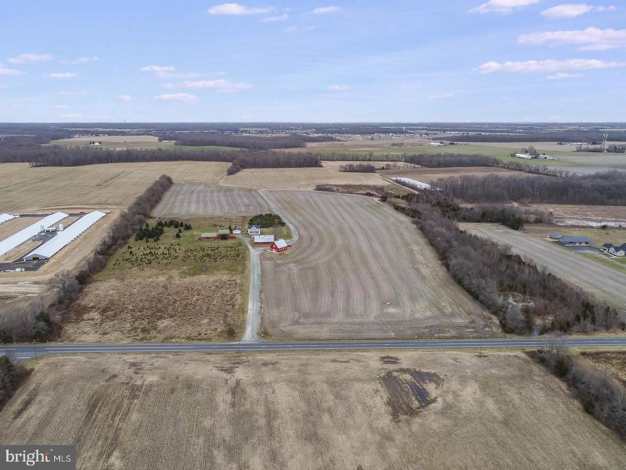 2480 Blackiston Road - Photo 1