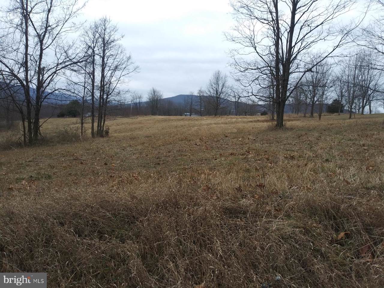 231 Stoney Apple Drive - Photo 1