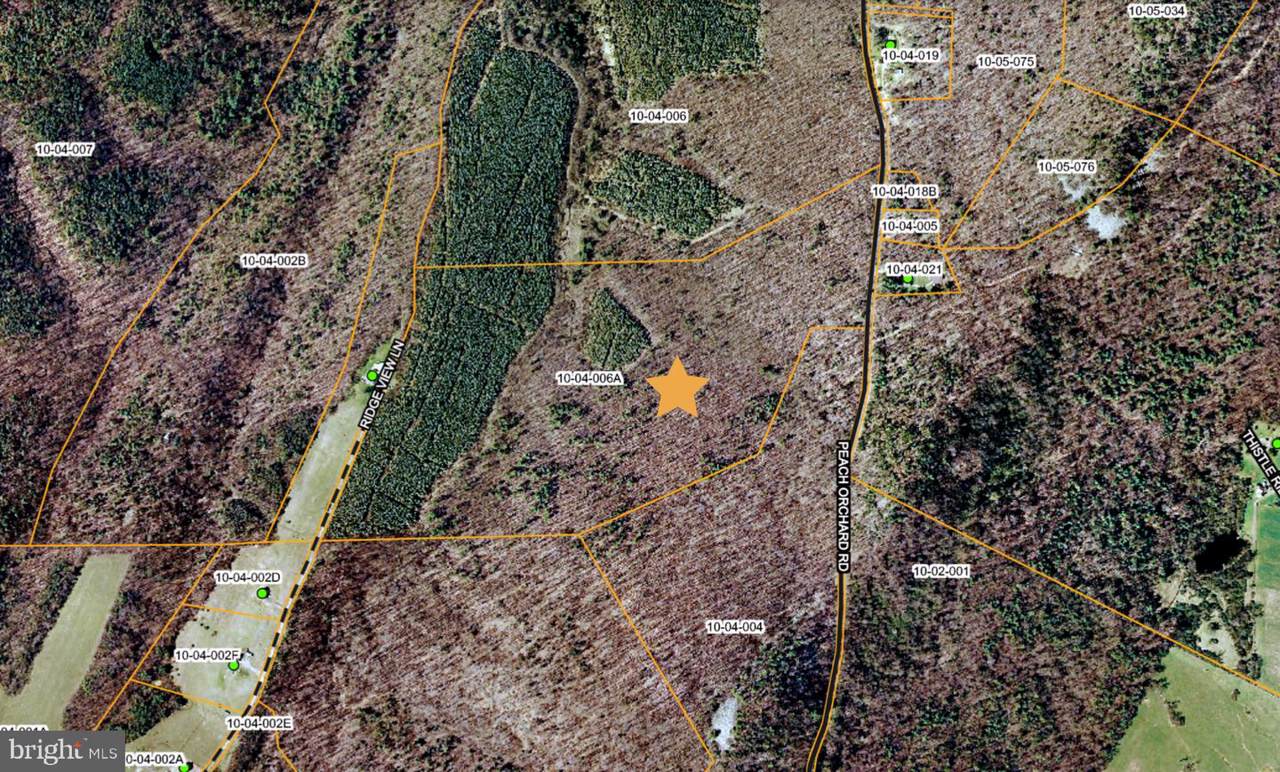 Lot 1 Peach Orchard Road - Photo 1 Lot 1 Peach Orchard Road - Photo 1