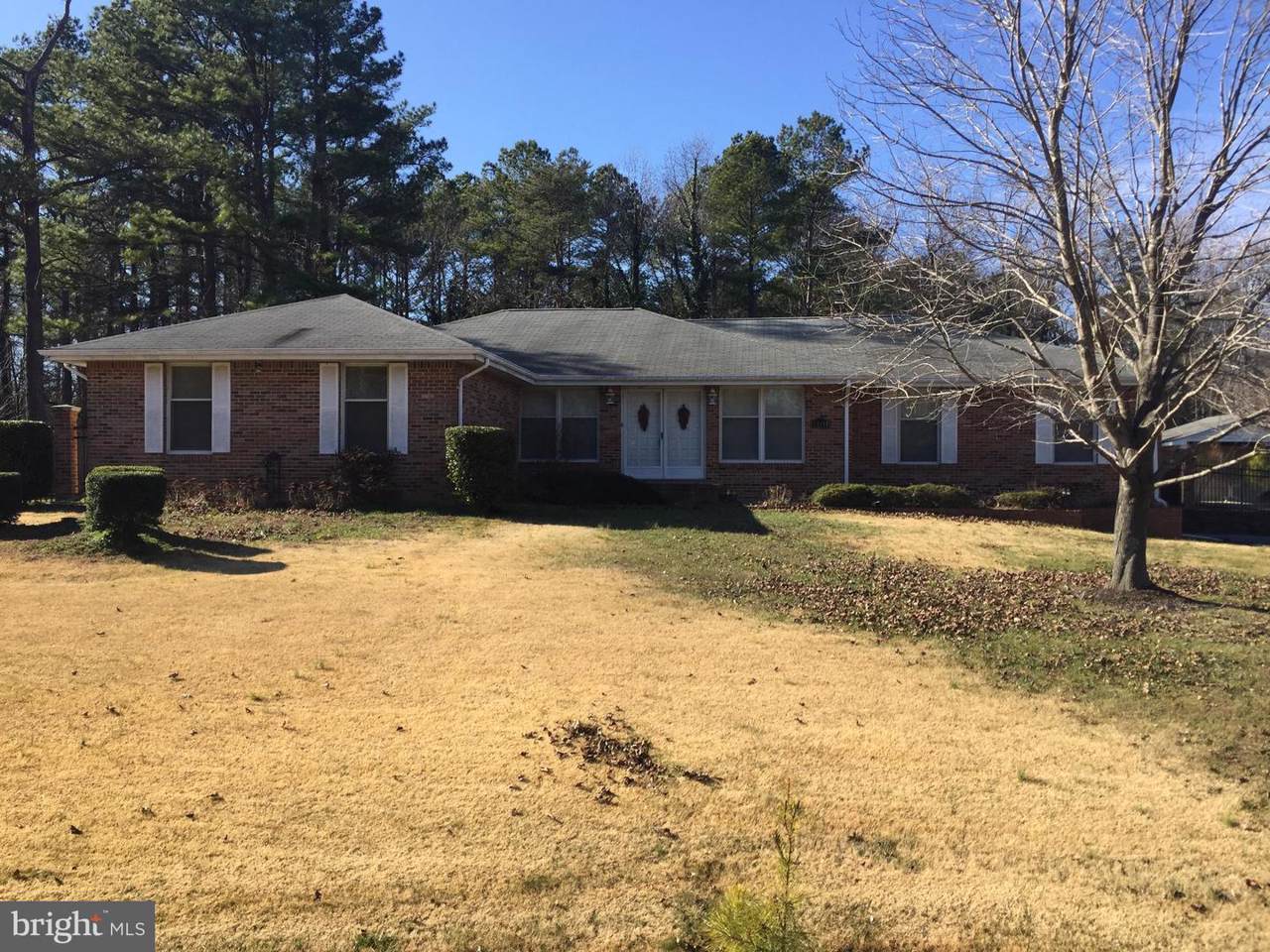 25419 Allston Lane - Photo 1