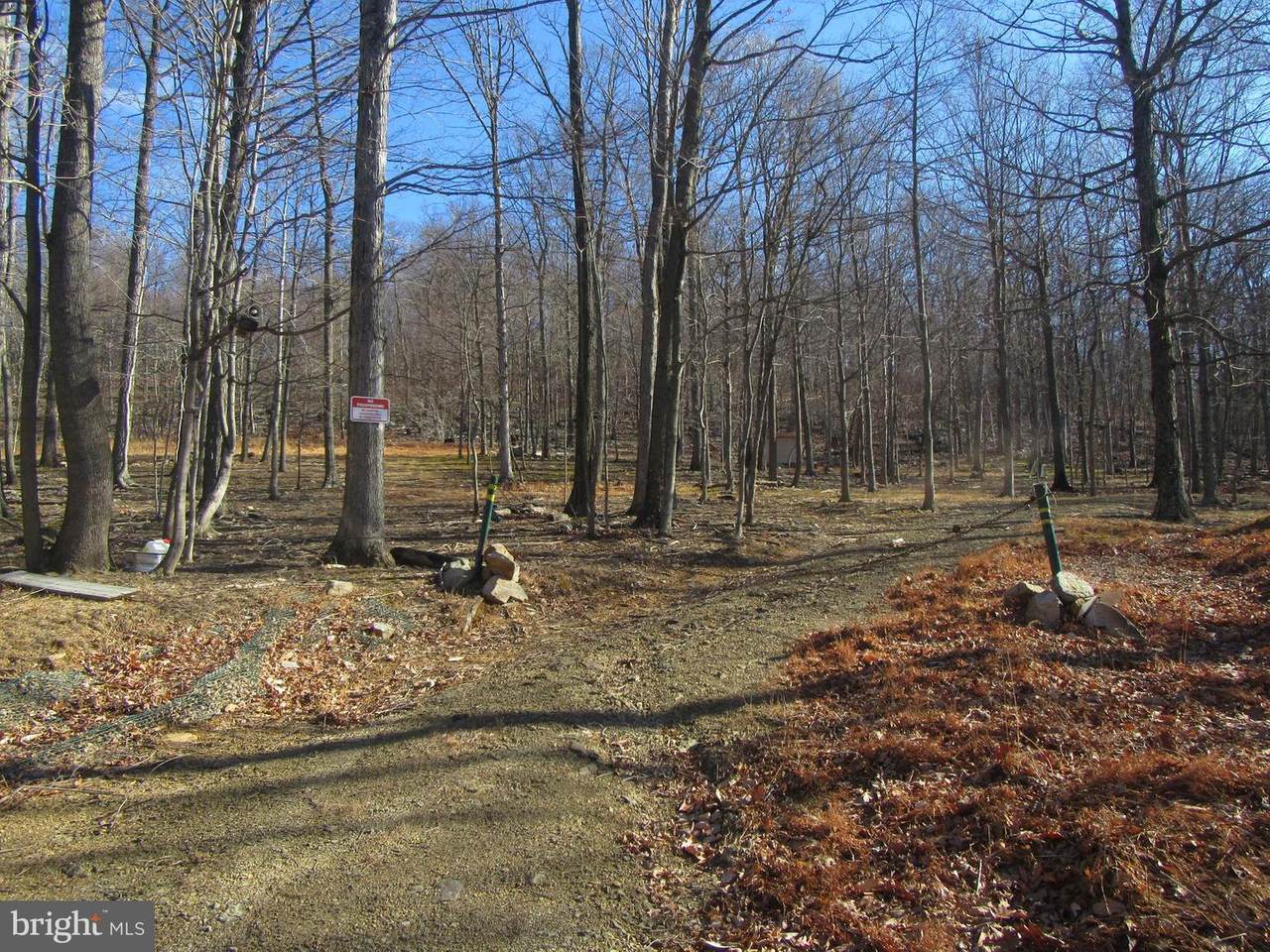Dominion Trail - Photo 1