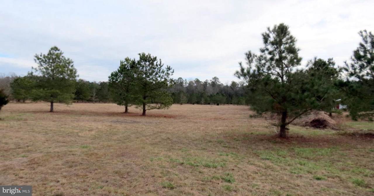 Lot 3 Millville Road - Photo 1