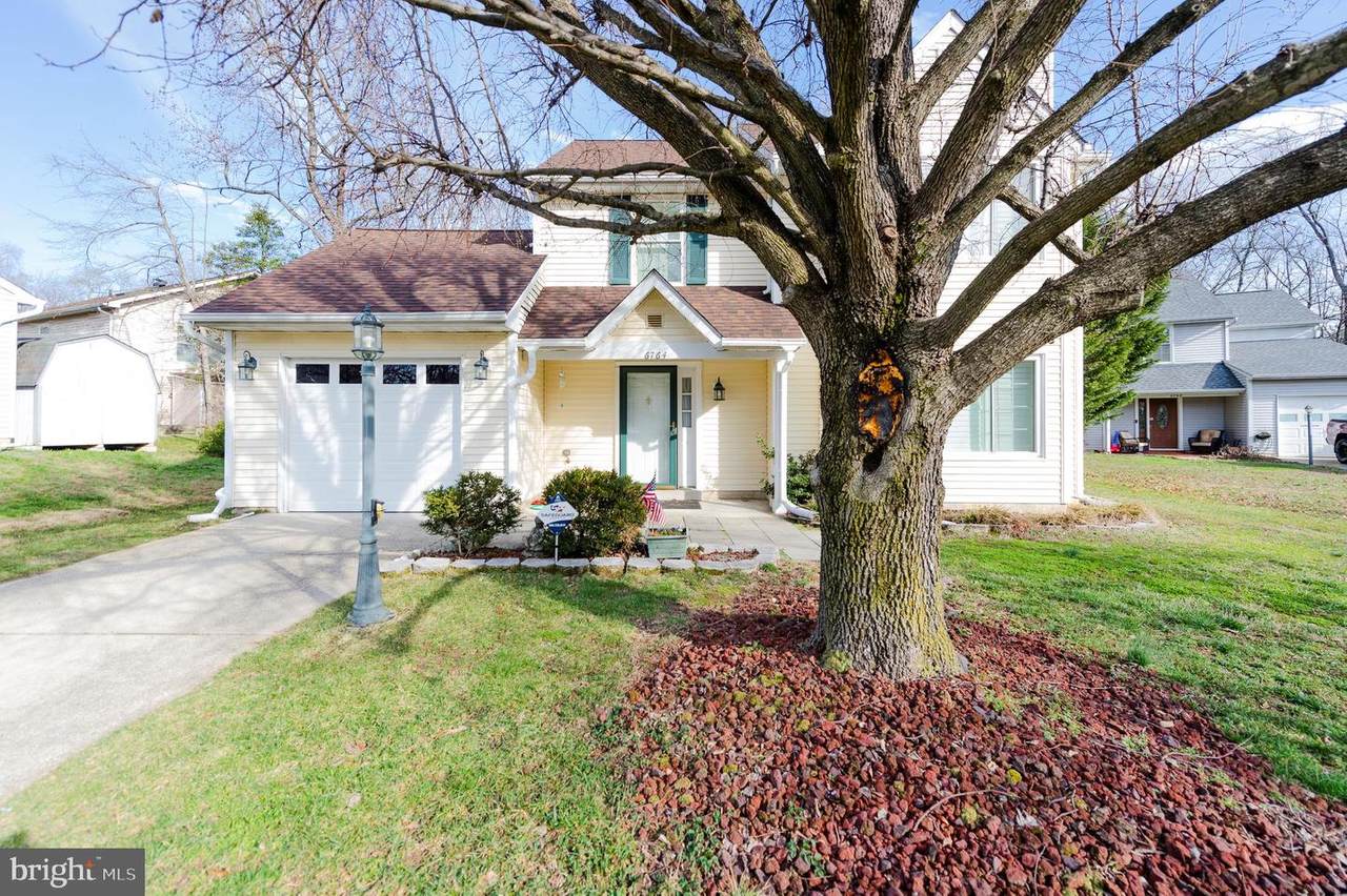 6764 Armadillo Court - Photo 1