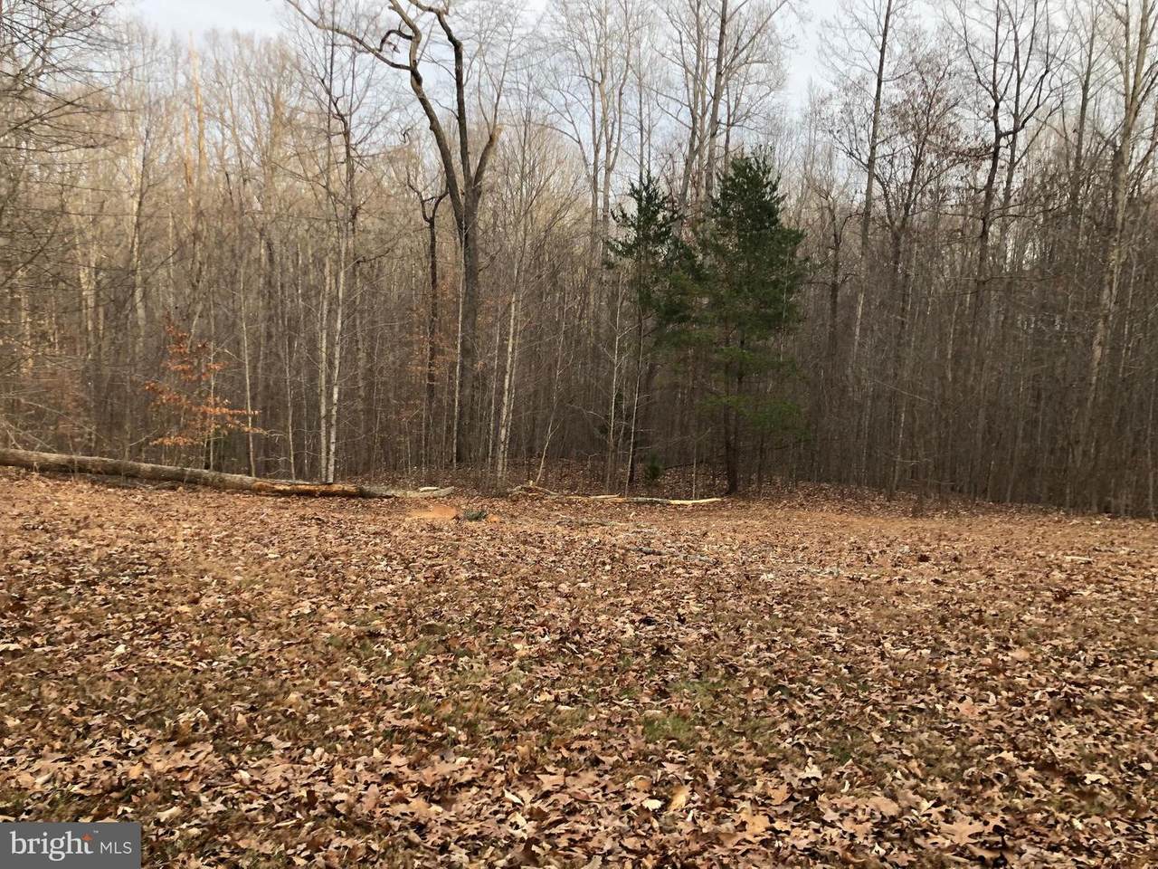 LOT 4 Grand Garden Ln - Photo 1