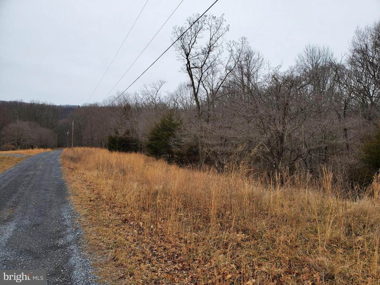 4.82 ACRES MAYNARD Drive - Photo 1