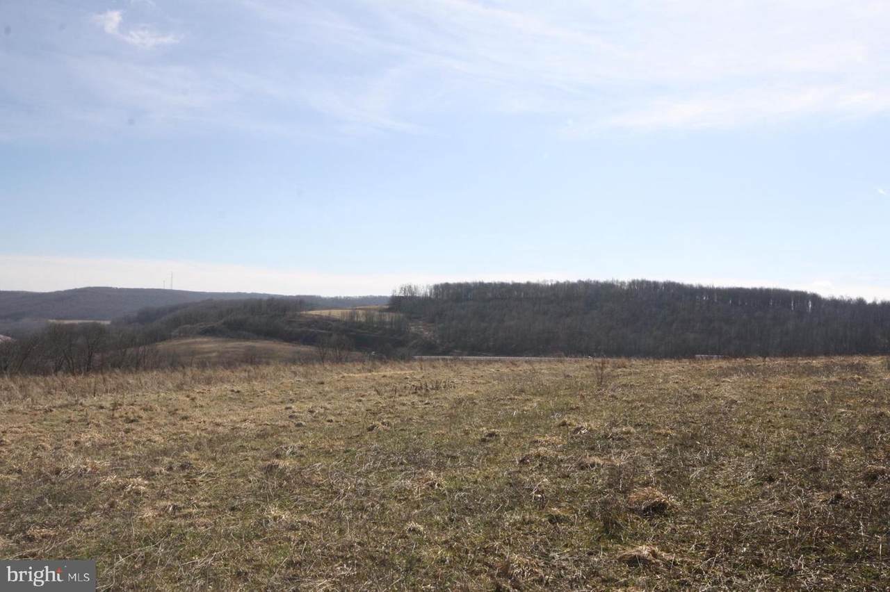 1305 Pigs Ear Road - Photo 1