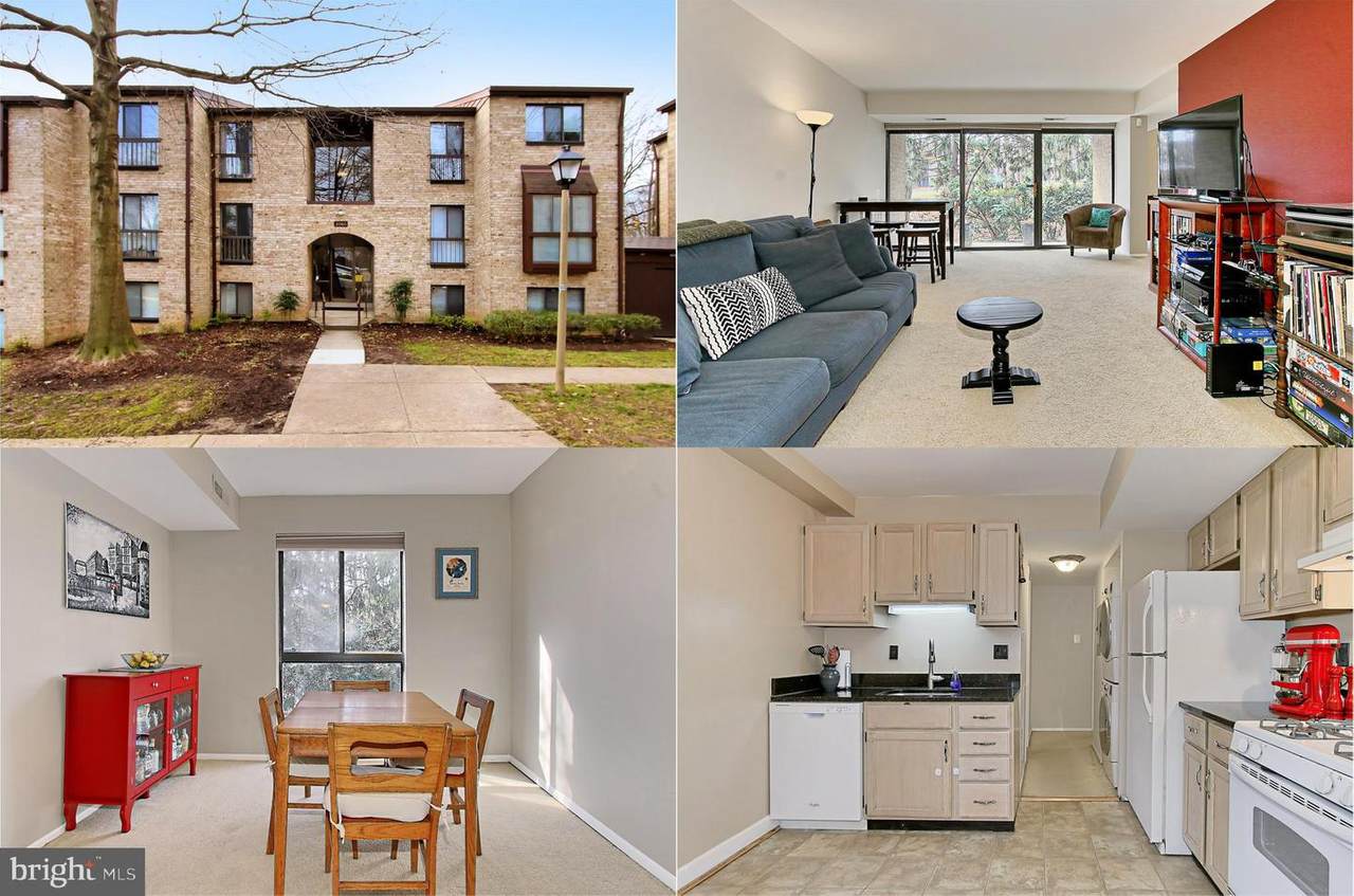 2065 Royal Fern Court - Photo 1