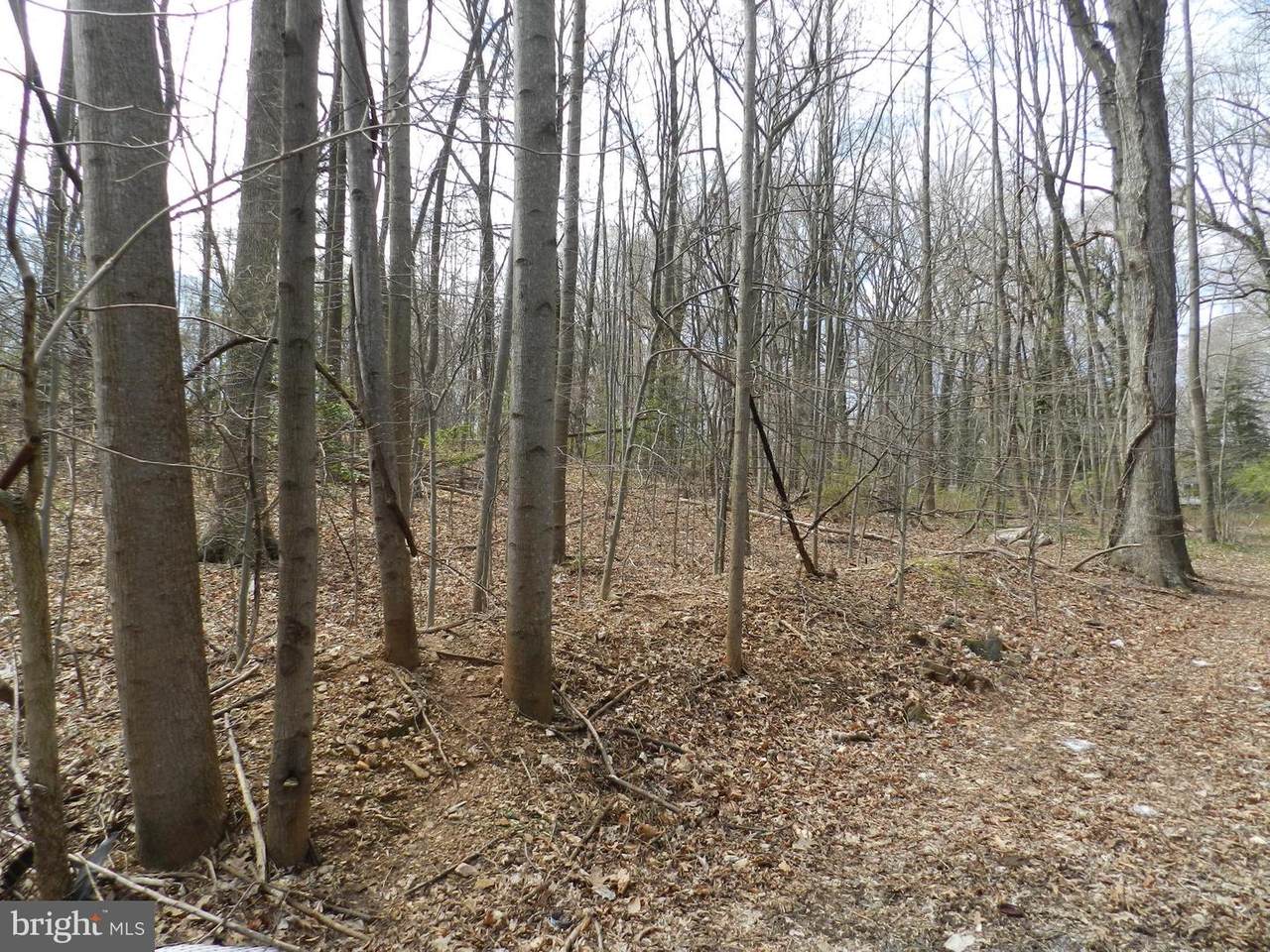 4900 Columbia Road - Photo 1