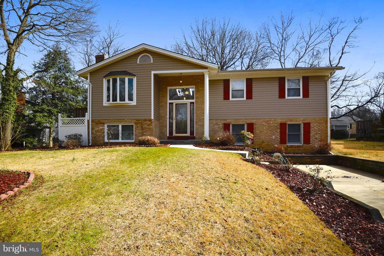 485 White Cedar Lane - Photo 1