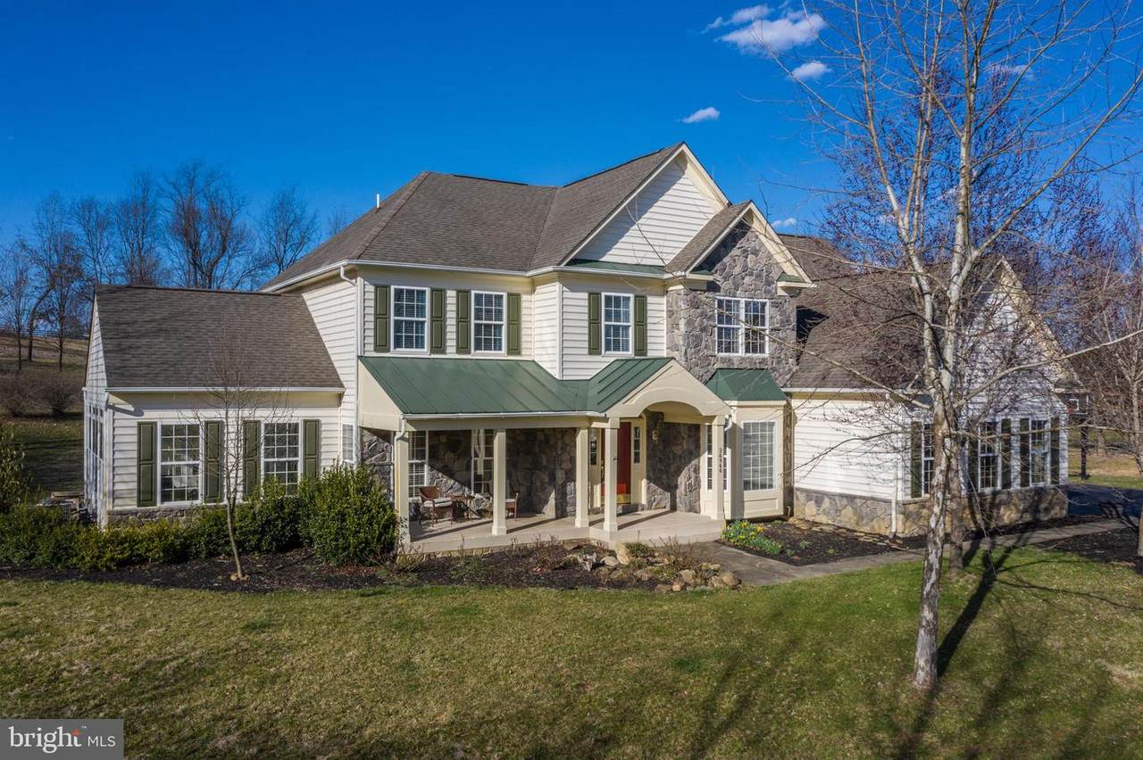 36946 Elaine Place - Photo 1