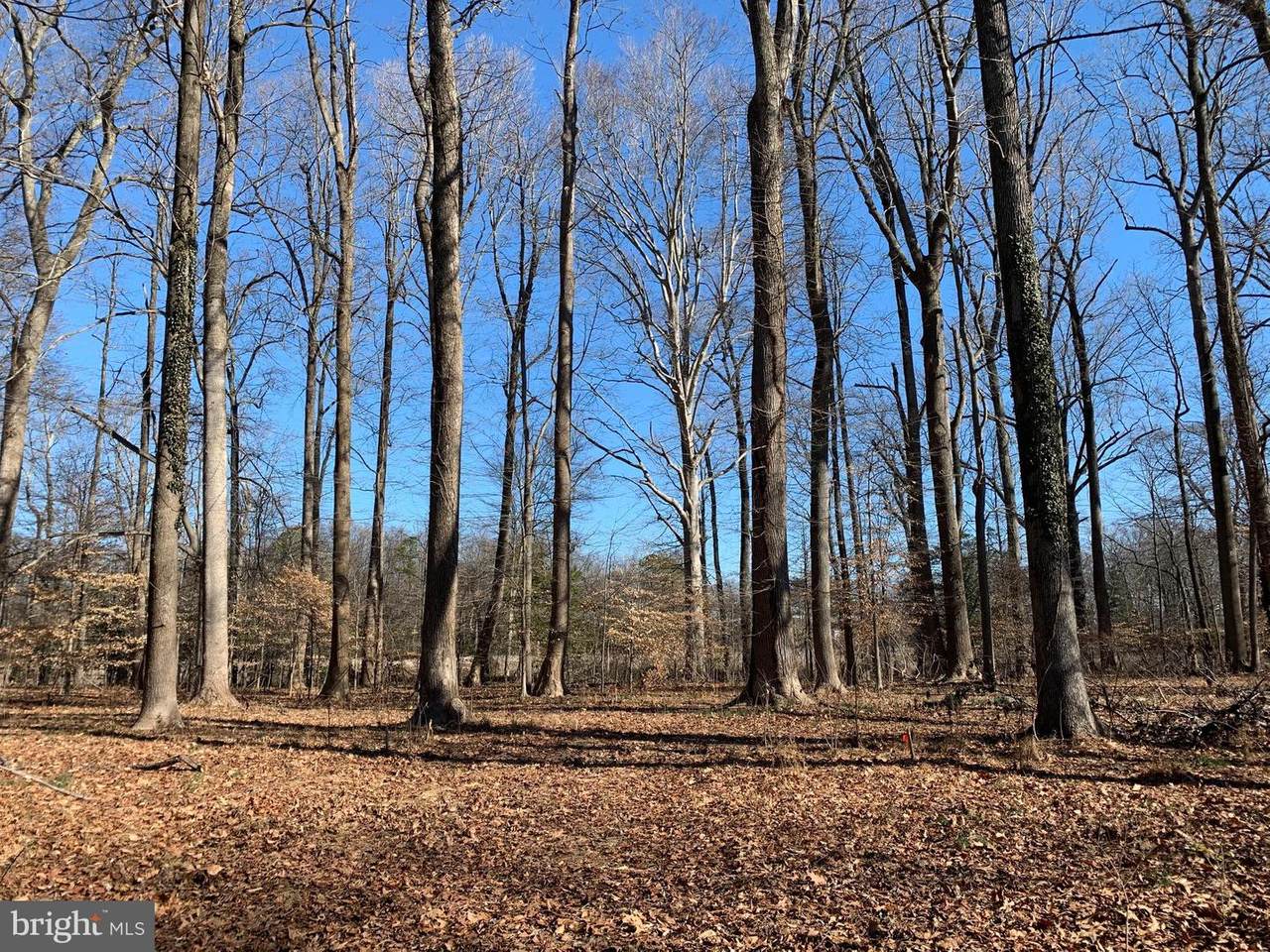 806-A Cedar Avenue - Photo 1