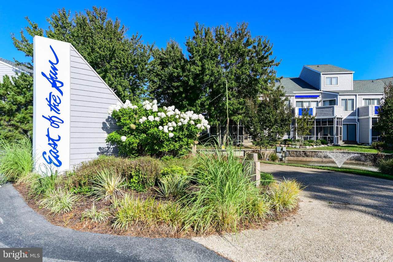 39770 Sun Drive - Photo 1