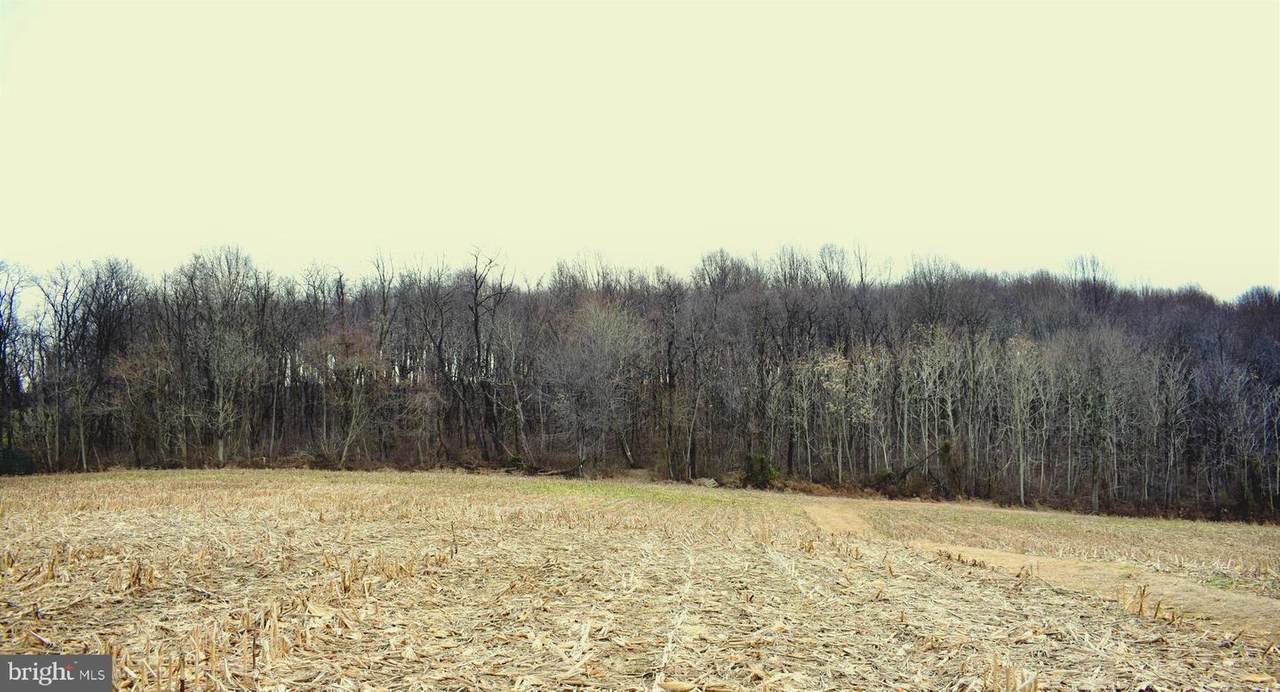 0-LOT #2 Lancaster Pike - Photo 1