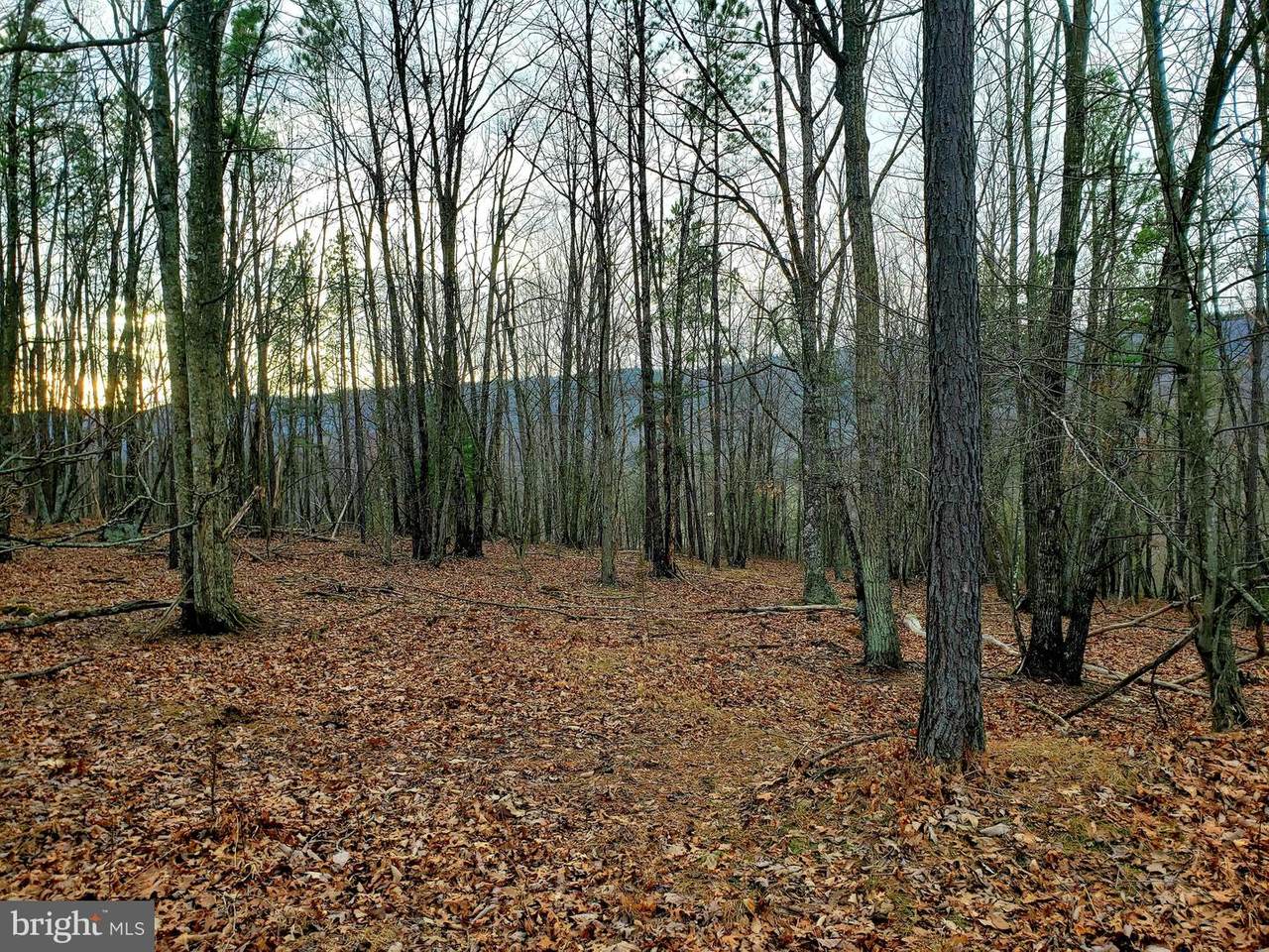 Happy Valley Road - Photo 1