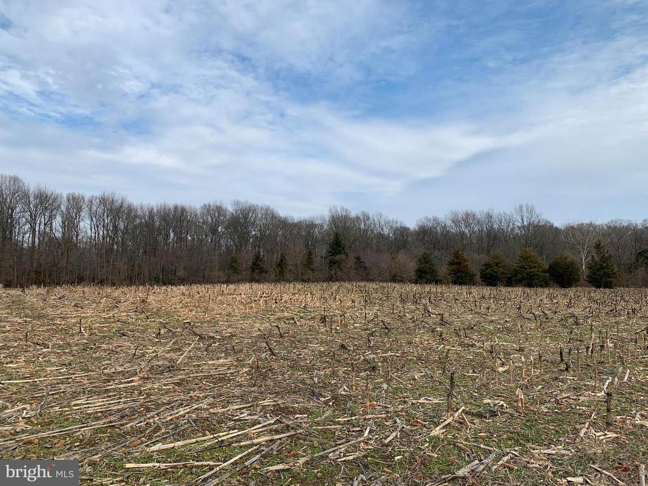 26778 Whiteleysburg Road - Photo 1