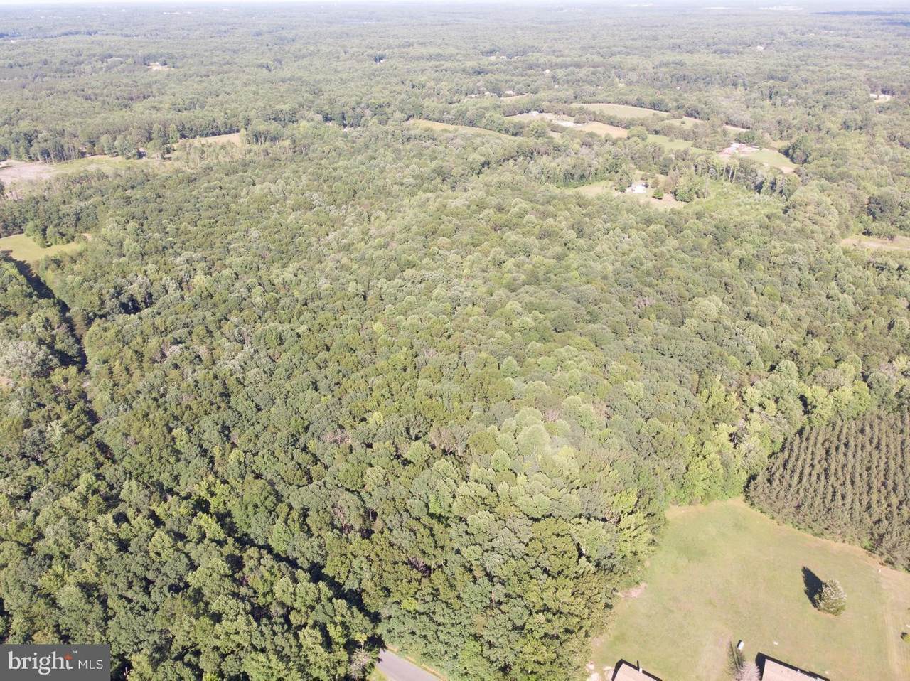 0 Talley Road - Photo 1