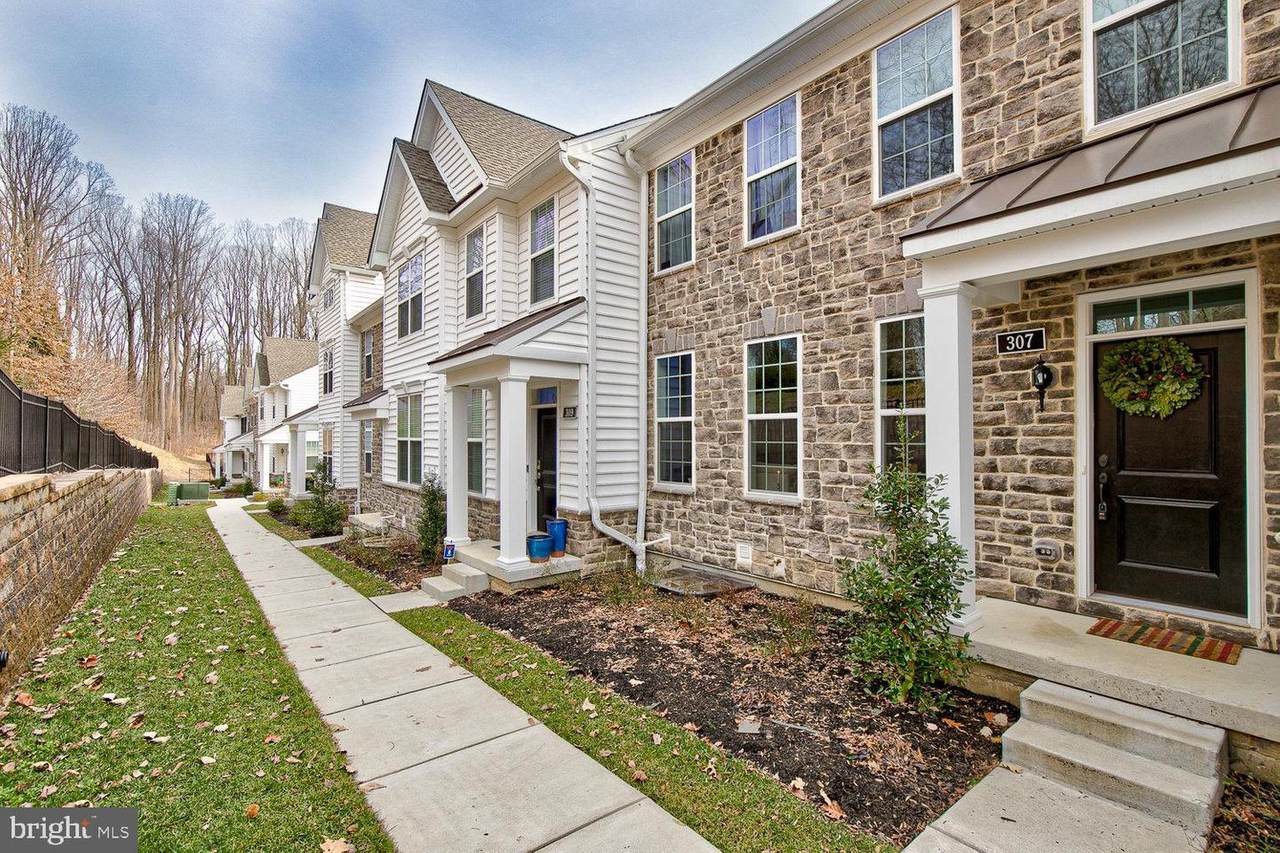 307 Avian Alley - Photo 1