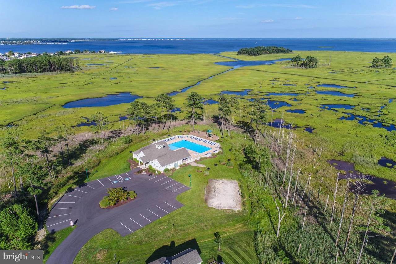 31764 Marsh Island Avenue - Photo 1