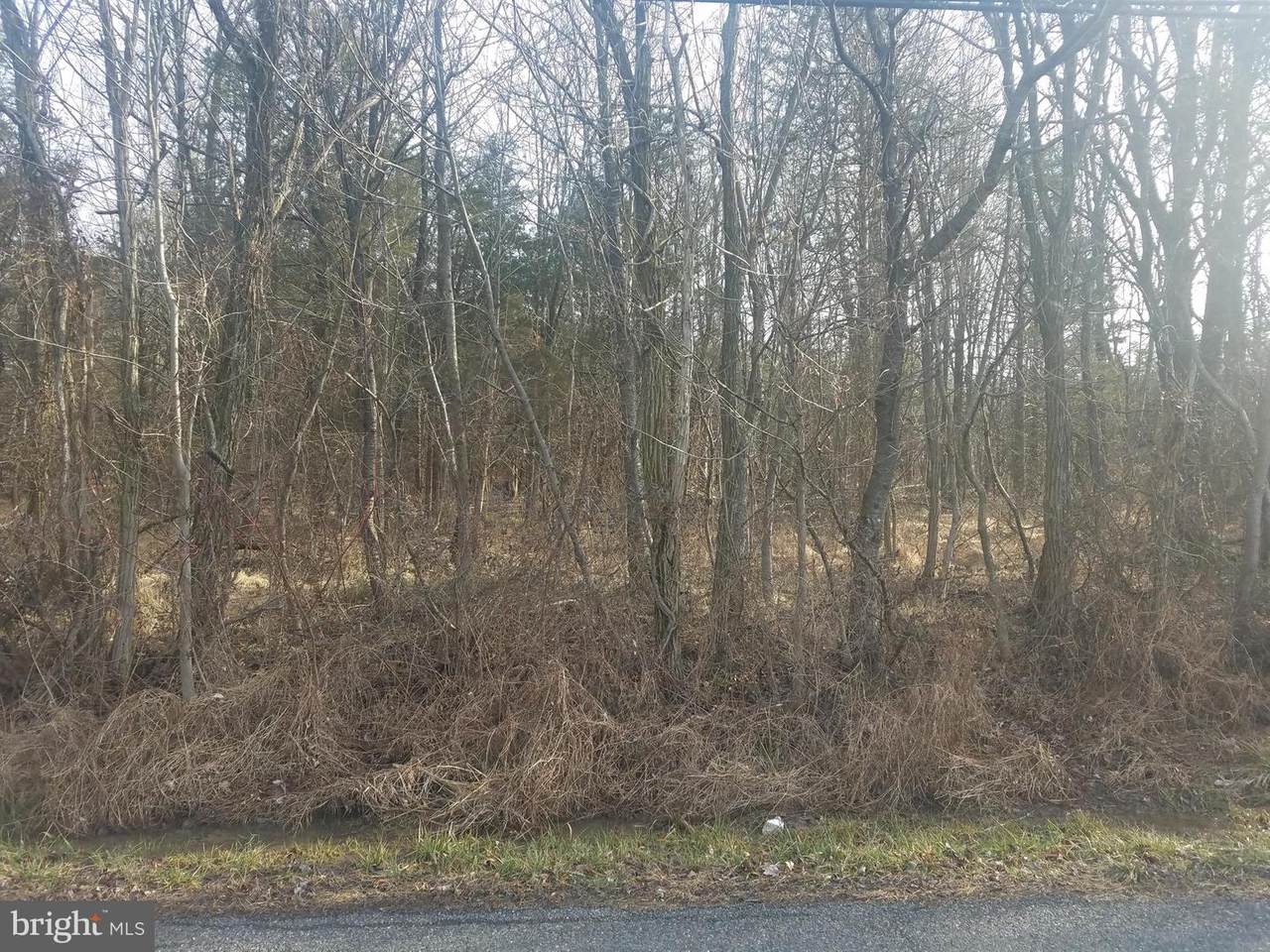 1935 Miller Road - Photo 1