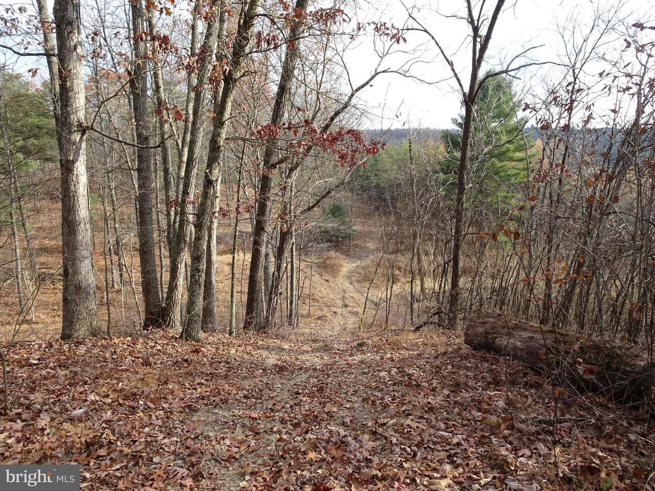 22404 Starr Road - Photo 1
