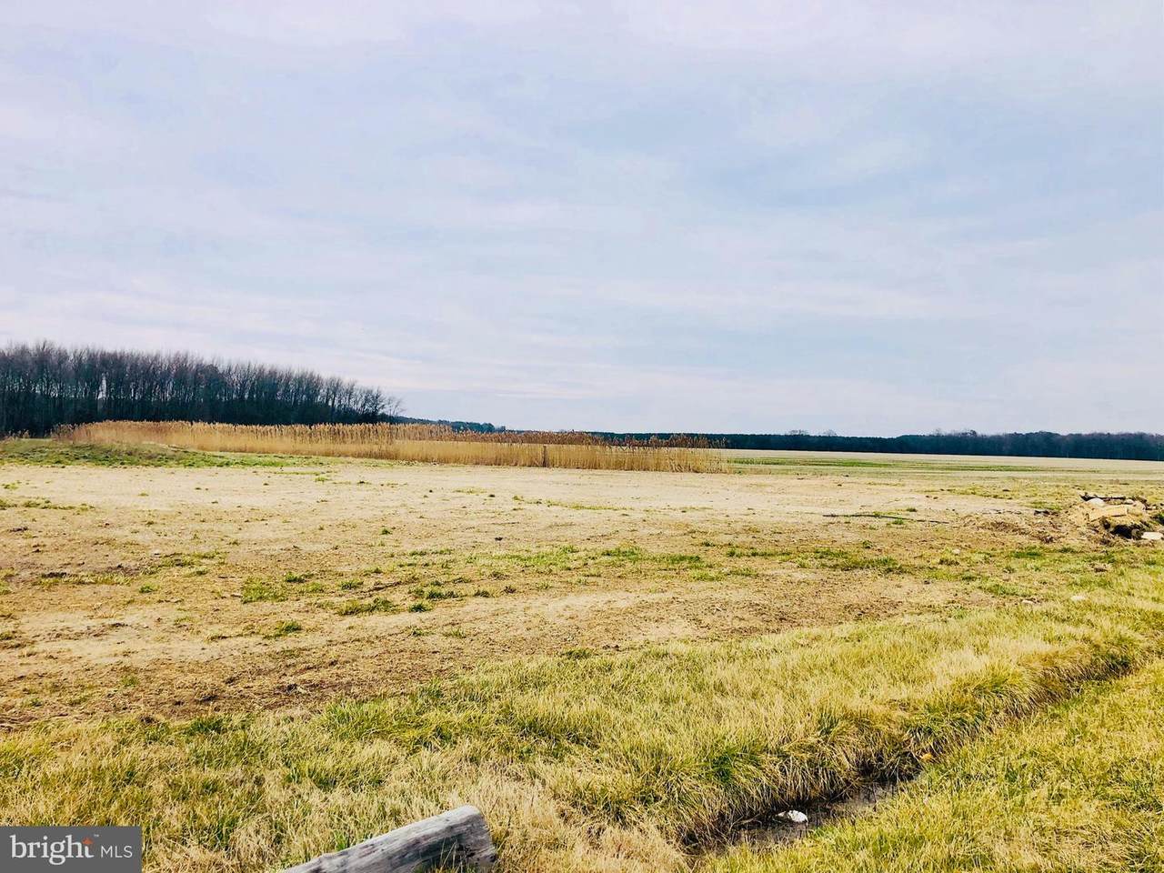 2569 Brownsville Road - Photo 1