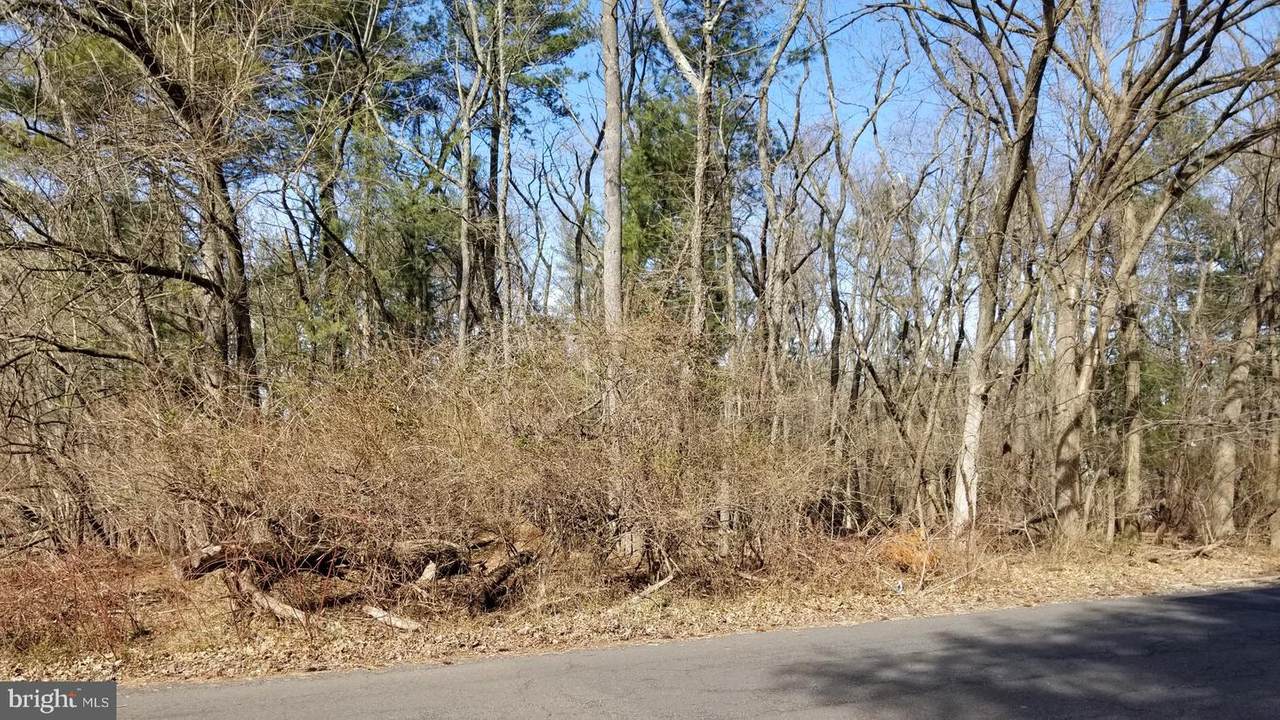 13 Delaware Rim Drive - Photo 1
