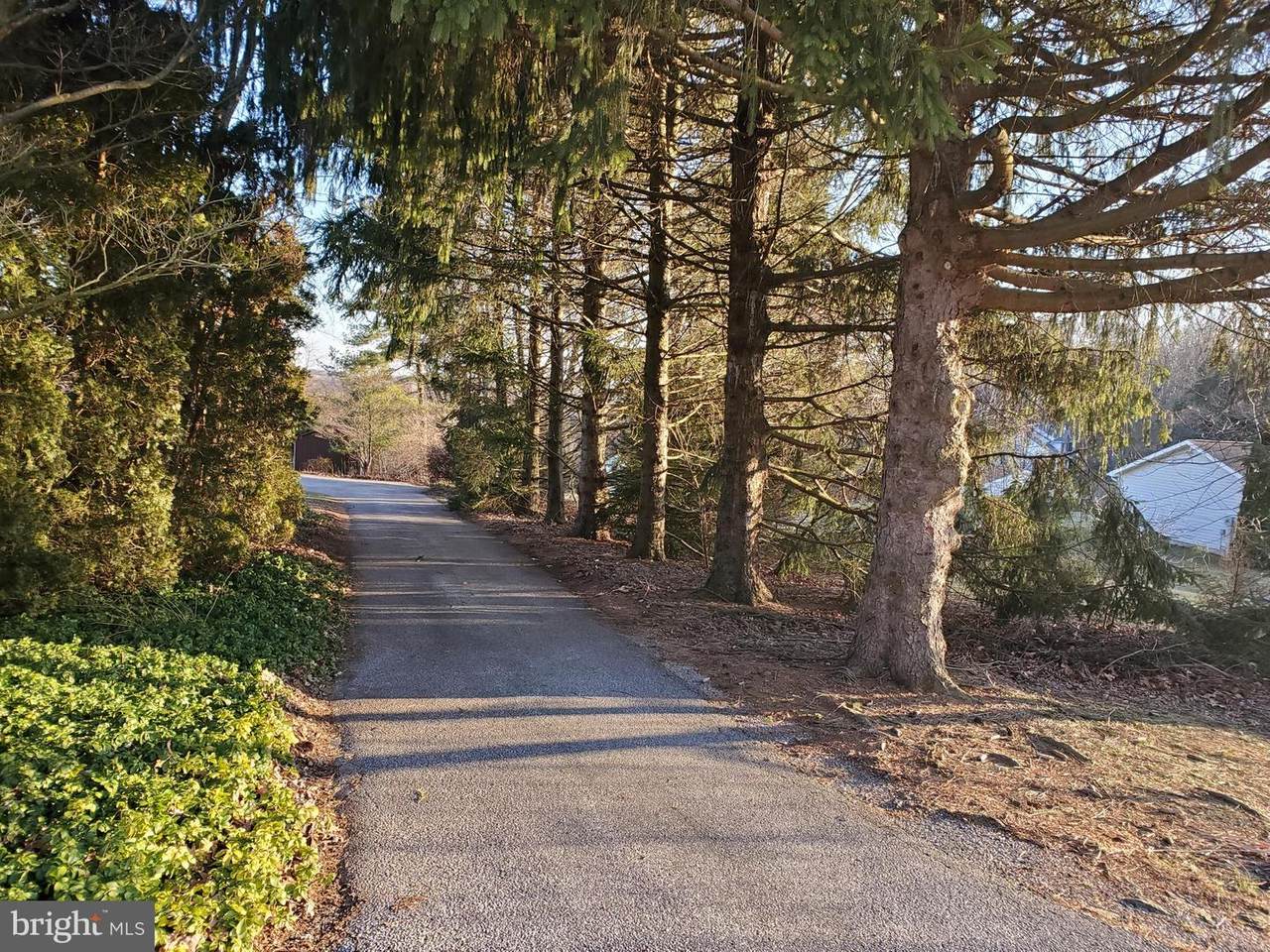 Lot 29 Blue Ball Road - Photo 1 Lot 29 Blue Ball Road - Photo 1