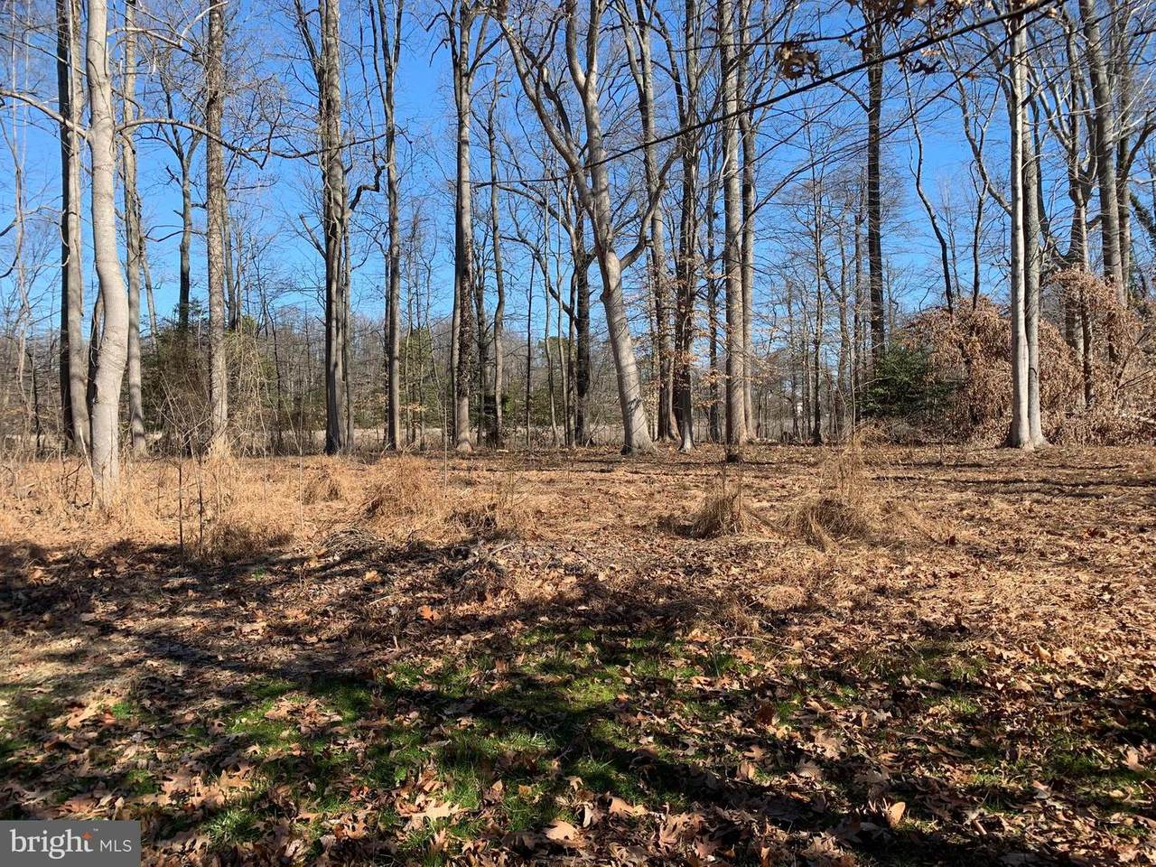 806-B Cedar Avenue - Photo 1