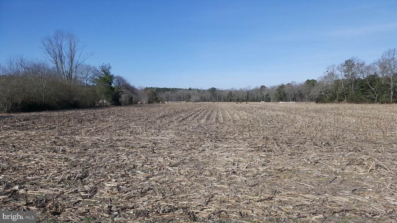6088 Forest Grove Road - Photo 1