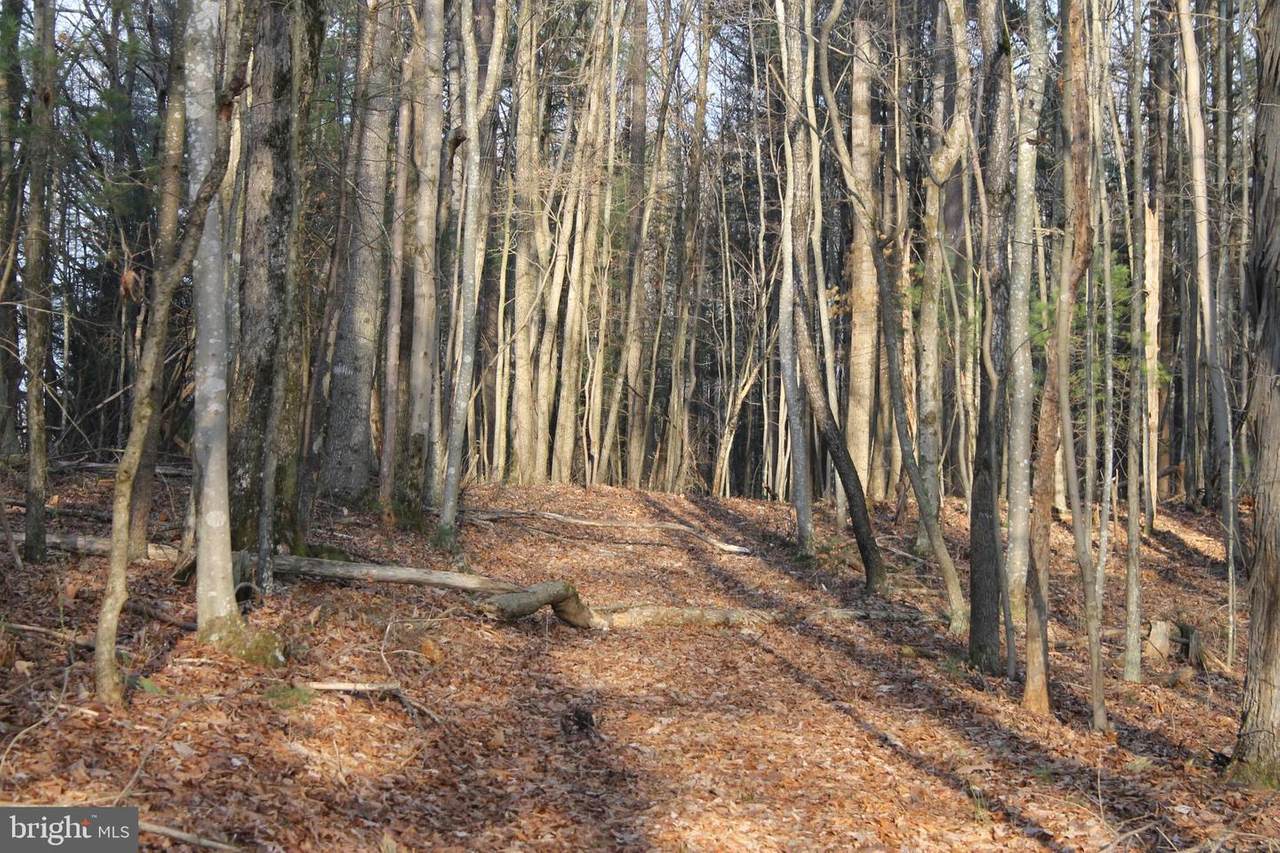 Loyds Lane - Photo 1