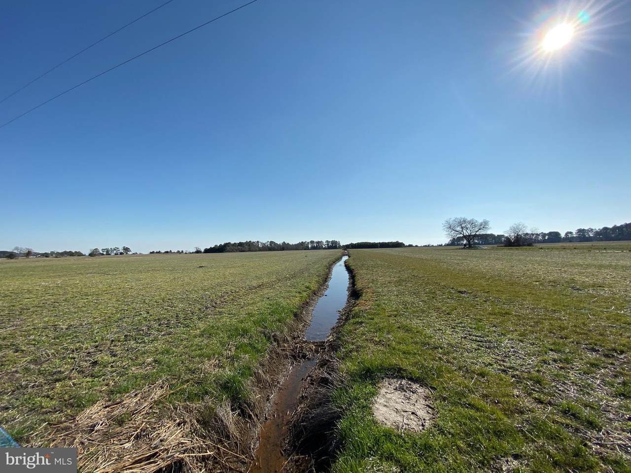 27605 Phoenix Church Road - Photo 1