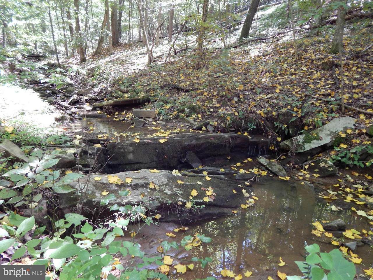 Mountain Run Road - Photo 1