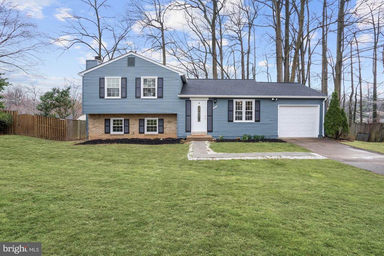 7807 Freehollow Drive - Photo 1
