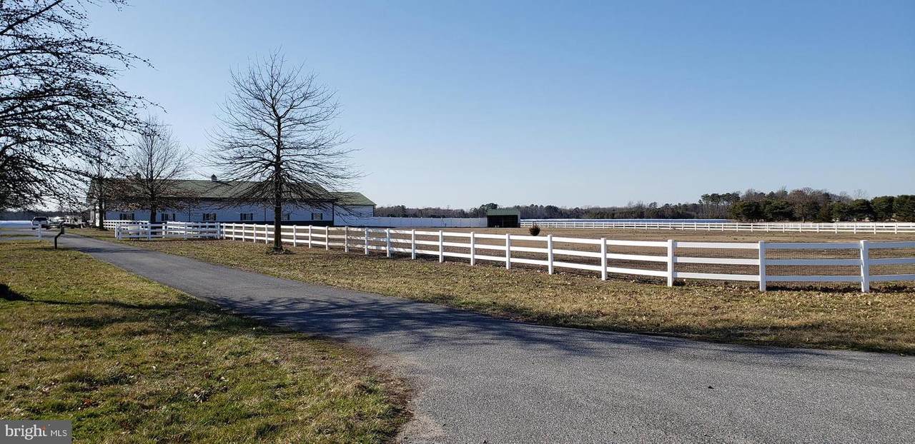 14688 Dupont Highway - Photo 1