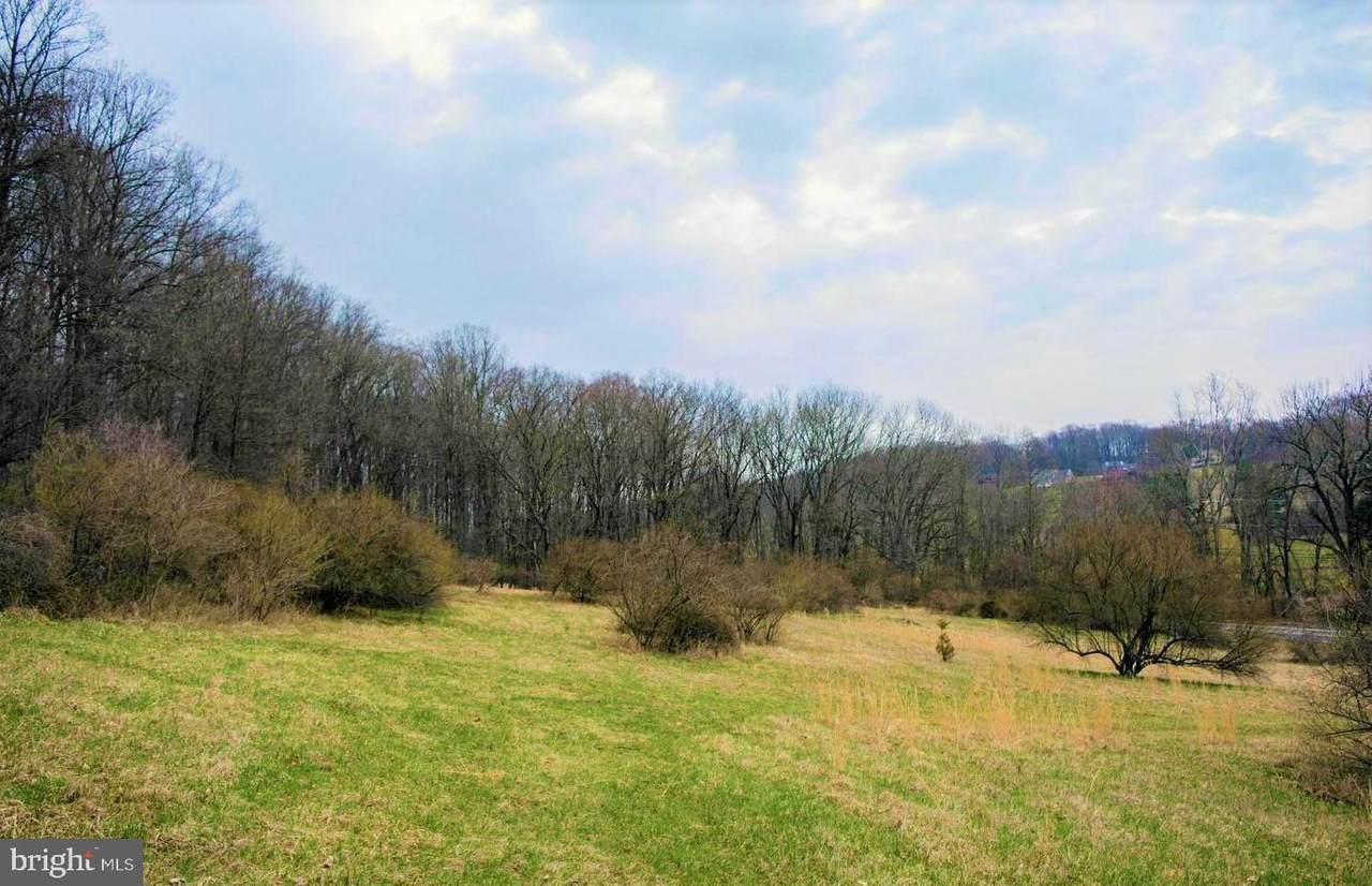 2290 PAPER MILL, Road - Photo 1