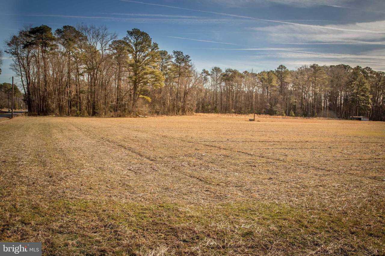 Lot 1 Quail Lane - Photo 1