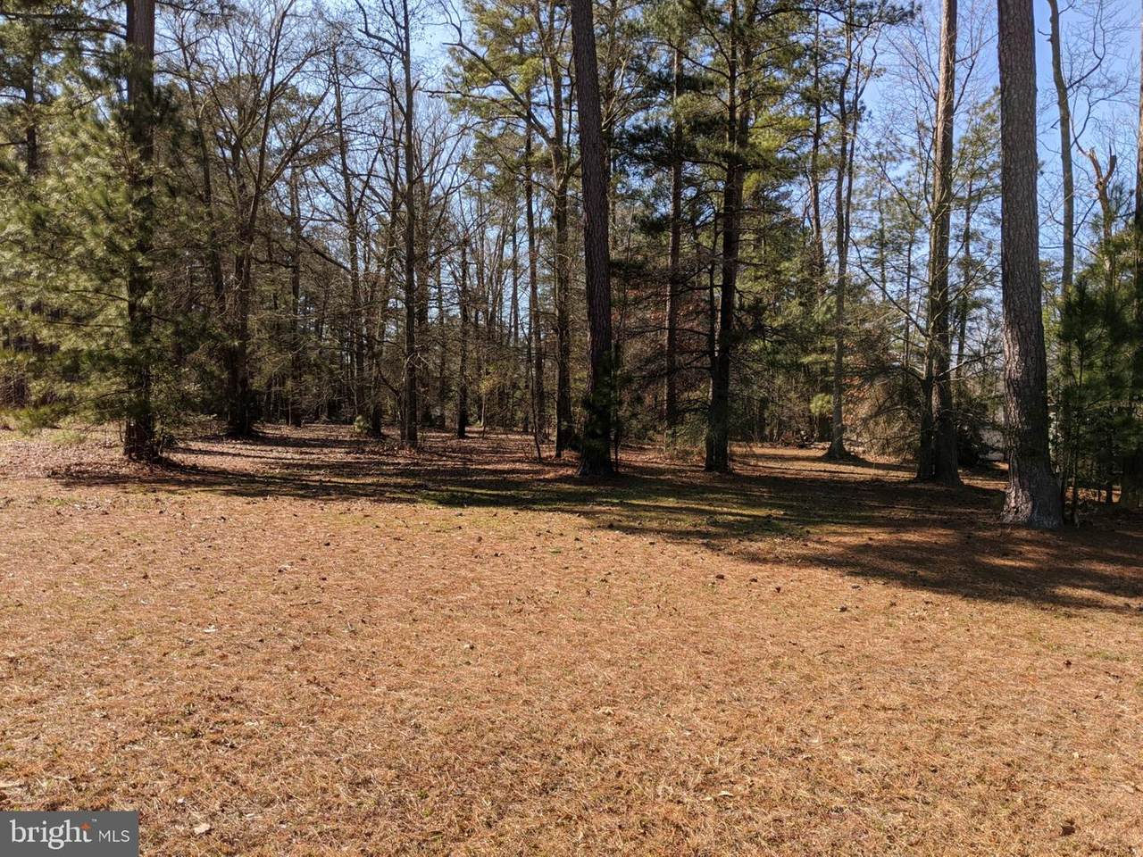LOT 36 Albatross Lane - Photo 1