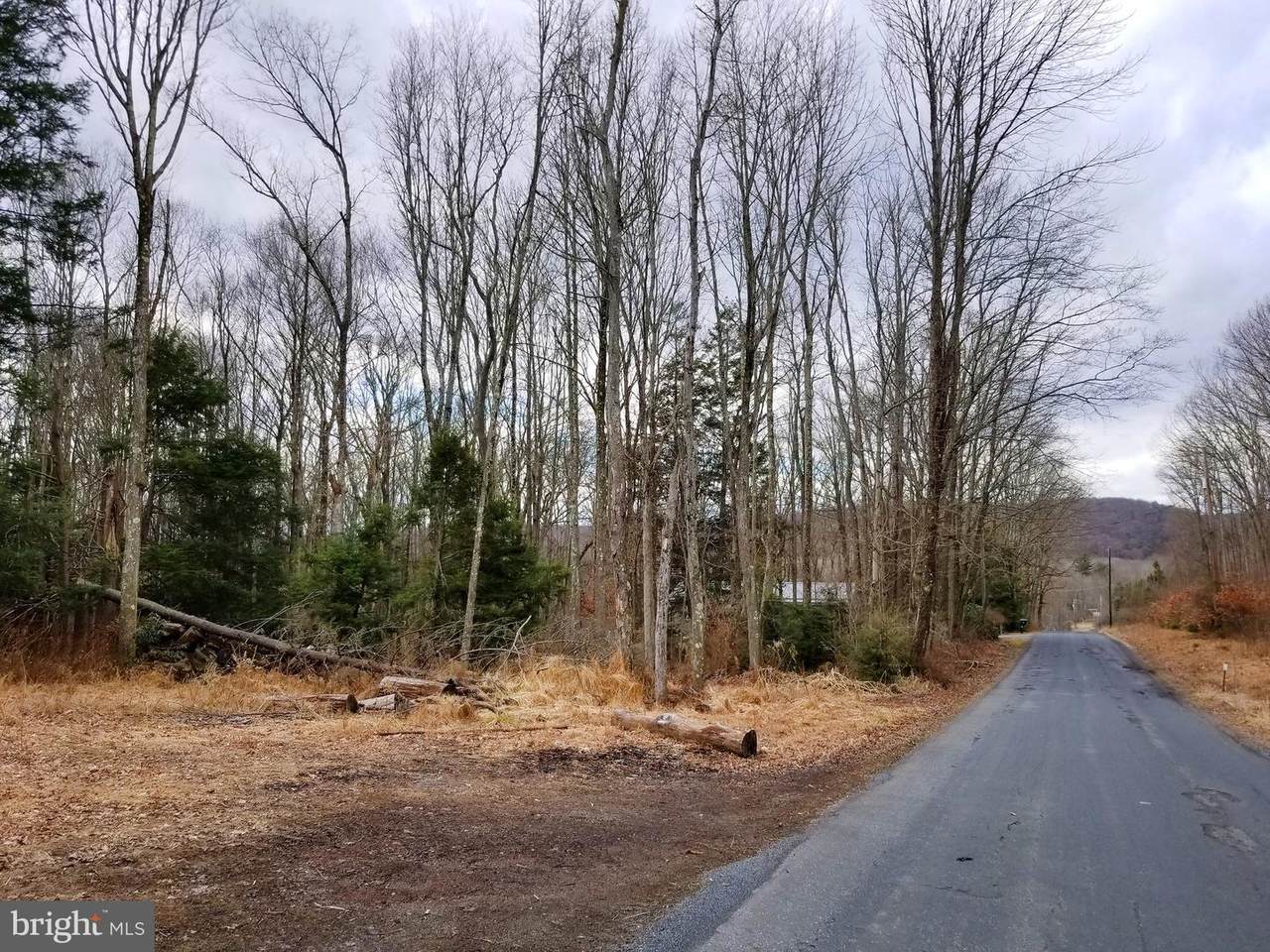 0 Grier Avenue - Photo 1