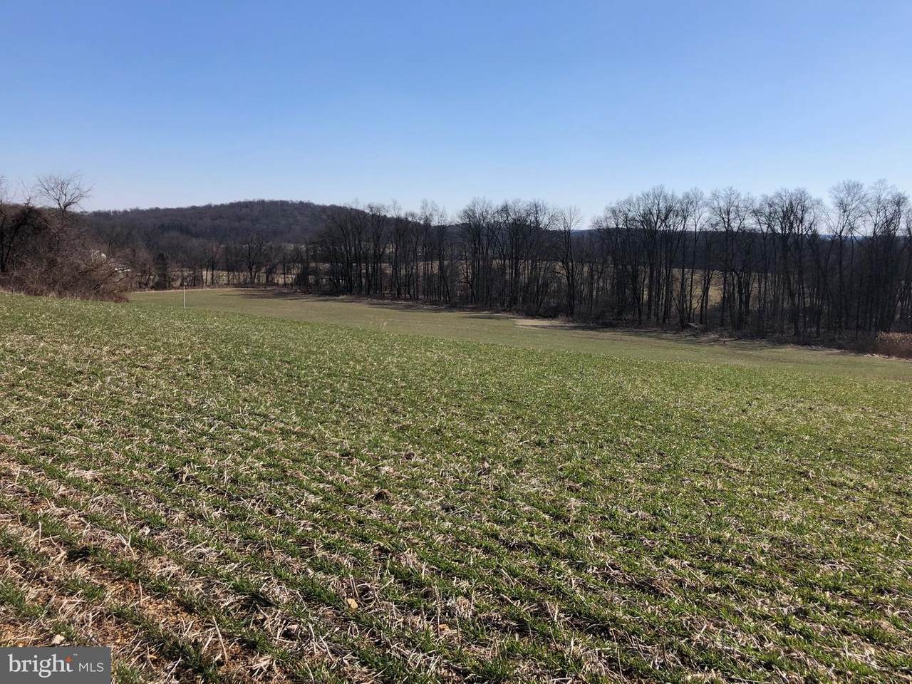 1700 Saint Matthews Road - Photo 1