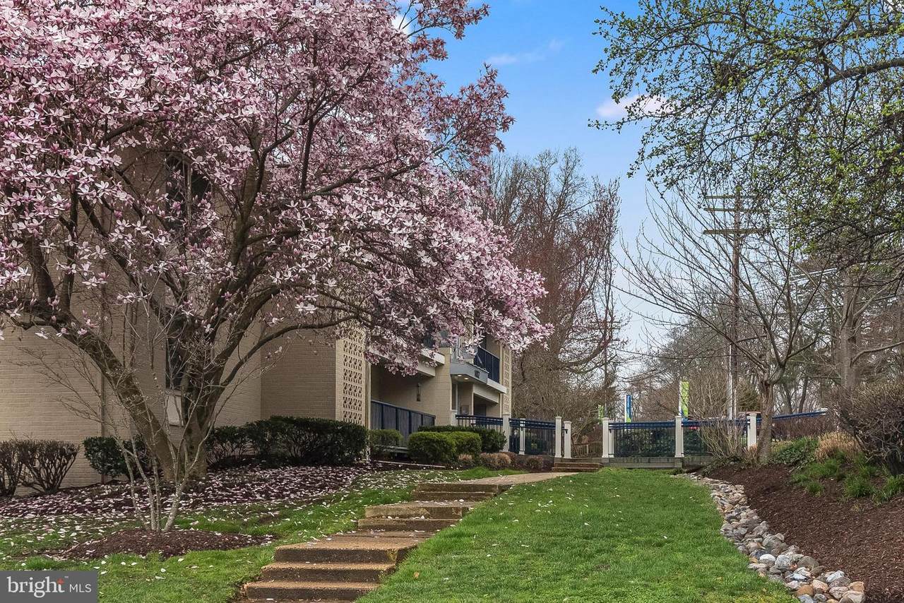 1002 Primrose Road - Photo 1