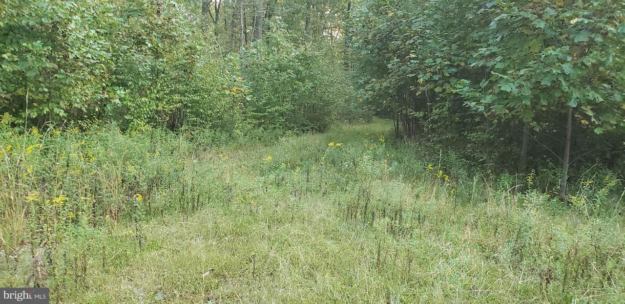 Lot Rr Smith/County Line Road - Photo 1