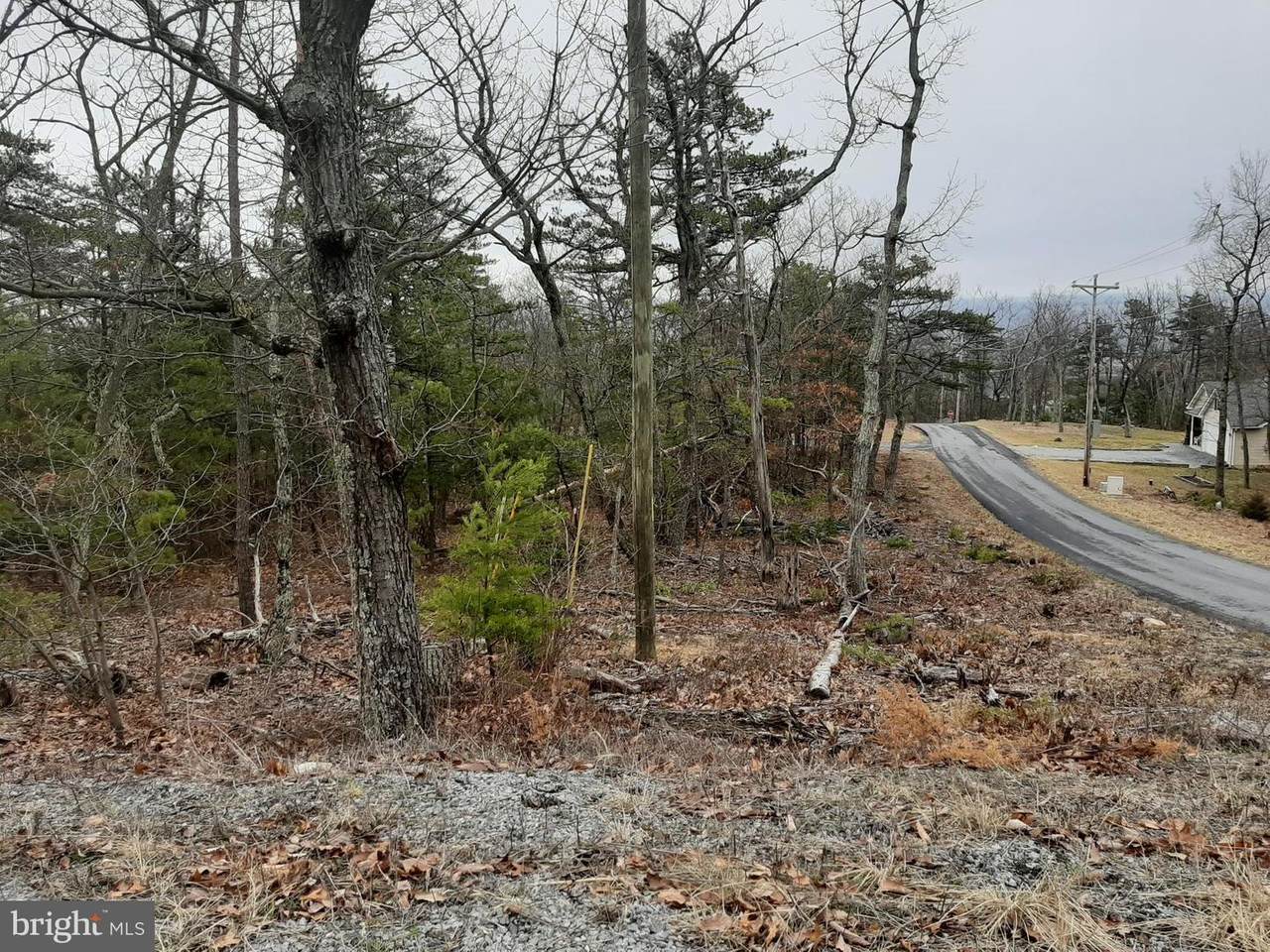 Tomahawk Trail - Photo 1