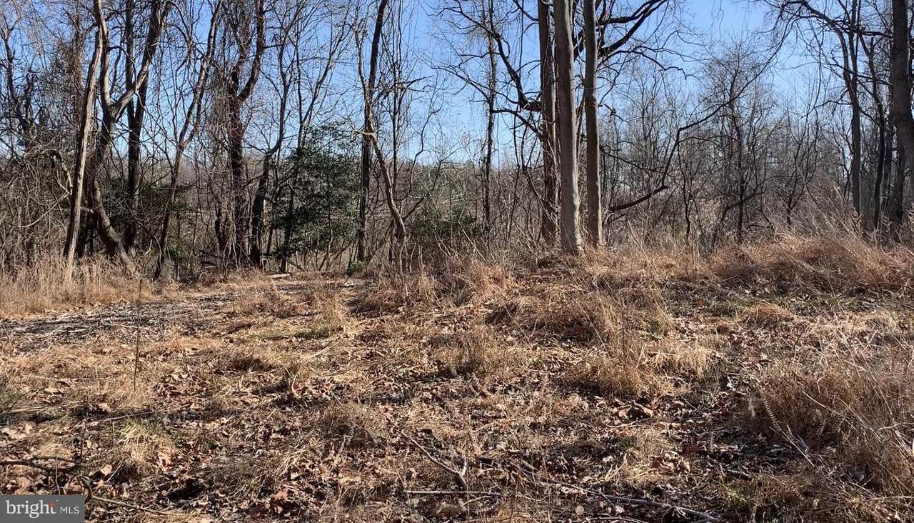 6726 Old Solomons Island Road - Photo 1